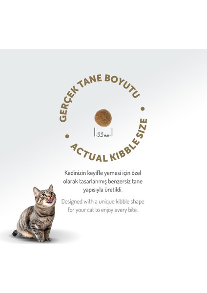 Kolajen Destekli Hipoalerjenik Kuzulu Yavru ve Anne Kedi Maması 2KG