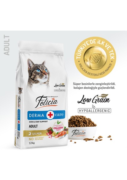 Kolajen Destekli Hipoalerjenik Somonlu Yetişkin Kedi Maması 12KG