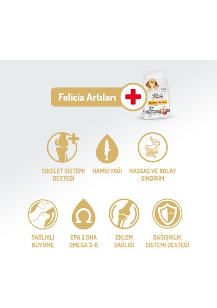 Kolajen Destekli Hipoalerjenik Kuzulu Yavru Köpek Maması 3KG fiyatları