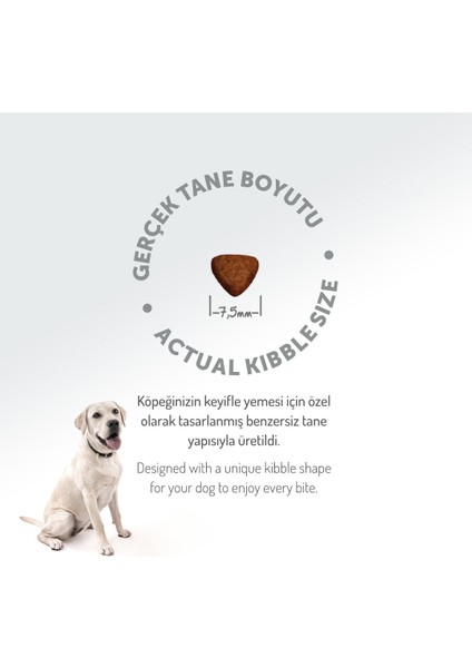 Kolajen Destekli Hipoalerjenik Kuzulu Yavru Köpek Maması 3KG