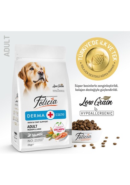 Kolajen Destekli Hipoalerjenik Somonlu Yetişkin Köpek Maması 3KG