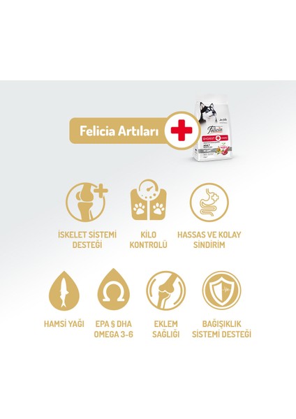 Kolajen Destekli Hipoalerjenik Kuzulu Yetişkin Köpek Maması 15KG fırsatları