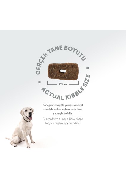 Kolajen Destekli Hipoalerjenik Kuzulu Yetişkin Köpek Maması 15KG