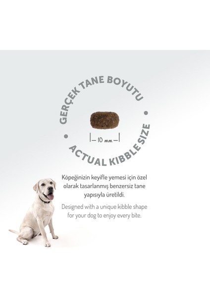 Kolajen Destekli Hipoalerjenik Kuzulu Yetişkin Küçük Irk Köpek Maması 6KG