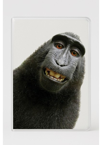 Şeffaf Pasaport Kılıfı Kalın Mikron Kart Bölmeli Desenli Pasaport Kabı - Maymun