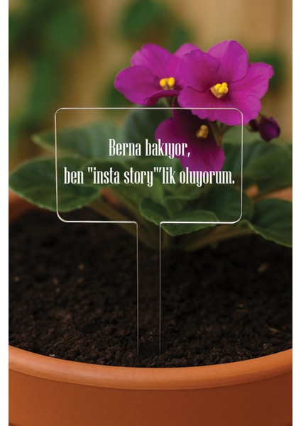 Kişiye Özel Isim Kelime Yazılı Uv Baskılı Şeffaf Dekoratif Pleksi Saksı Süsü - Tsrm 25