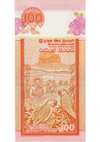 Sri Lanka 100 Rupi 2005 Çil.