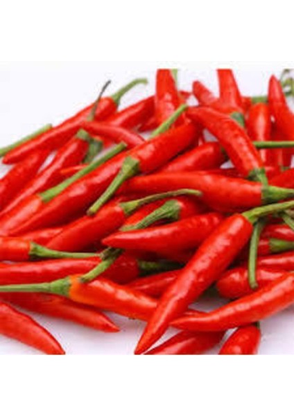 30 Adet Şili Biberi Tohumu fiyatları