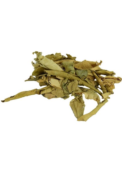 Tç Yaprağı Doğal 100 gr Paket