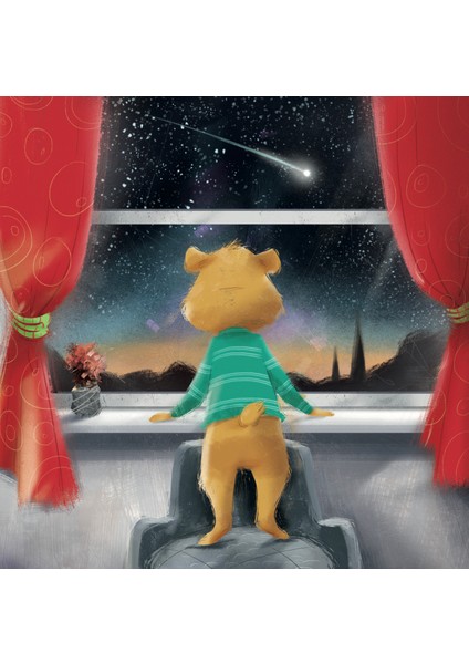 Güzel Yıldız, Parlak Yıldız - Susie Linn modelleri