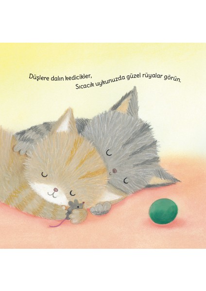 Sarılalım Mı Minnoşum? - Jamie French modelleri