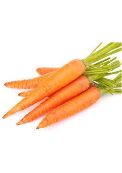 100 Adet Tohum Geleneksel Etli Erkenci Nantes Havuç Ata Tohumu modelleri