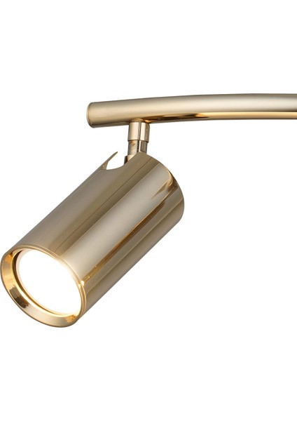 Lıpale 3'lü Altın Plafonyer fırsatları