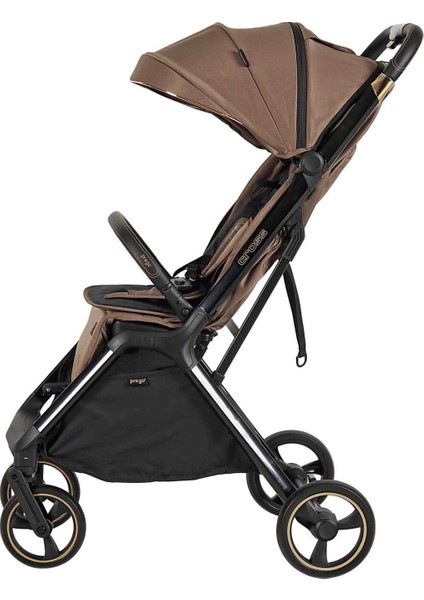 Cross Bebek Arabası 2240 fiyatları