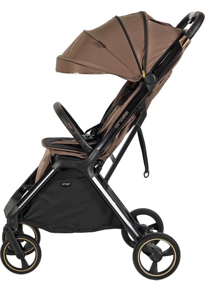 Cross Bebek Arabası 2240 modelleri