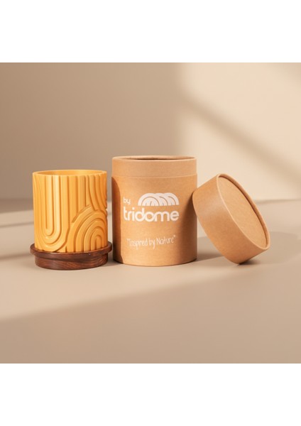 Norla Dekoratif Vazo - Gold / Ahşap Tabanlı