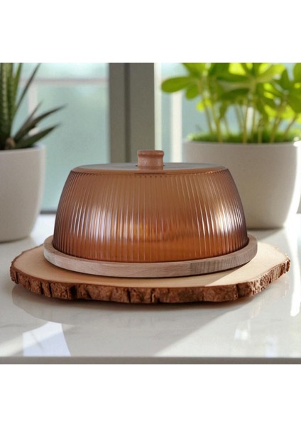 Ahşap Sunumluk ve Plastik Kapaklı Kek Fanusu