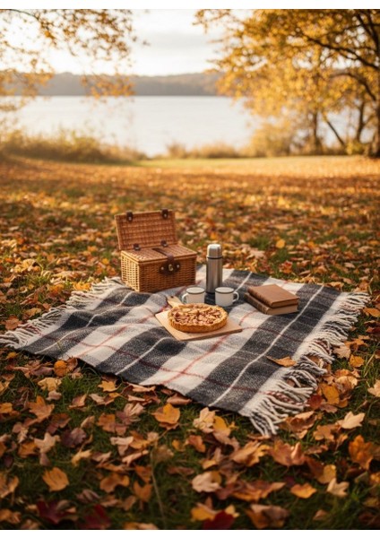 Erdilhome Ekose Yün Scotch Çift Kişilik Battaniye Antrasit fiyatları