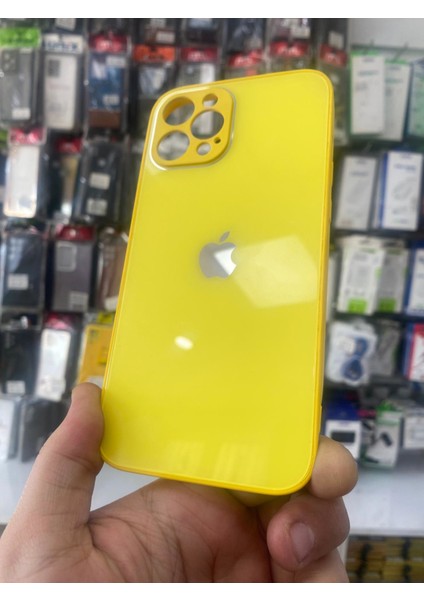 Iphone 12 Uyumlu Arkası Cam Logolu Kılıf