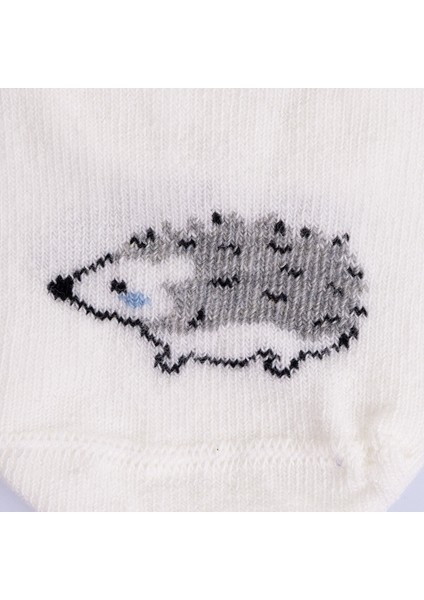 Erkek Bebek 3lü Soket Çorap modelleri