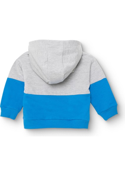 Erkek Bebek Kapüşonlu Sweatshirt Şardonlu Üç Iplik Uzun Kol fiyatları