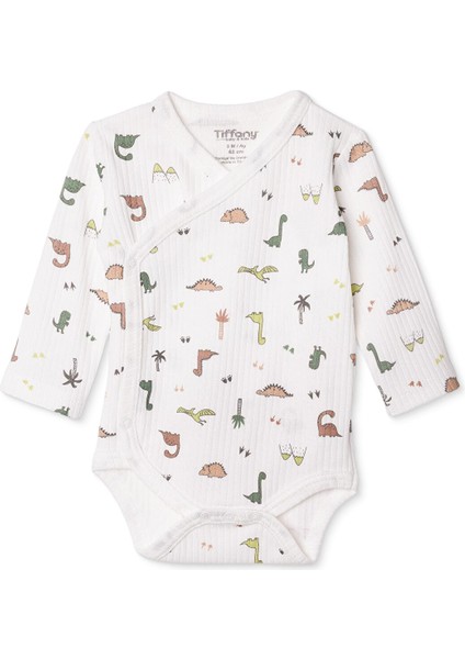 Erkek Bebek Zıbın Body Interlok V Yaka Uzun Kol