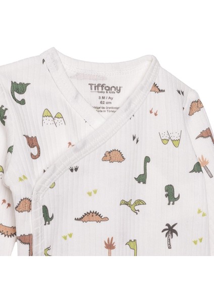 Erkek Bebek Zıbın Body Interlok V Yaka Uzun Kol modelleri