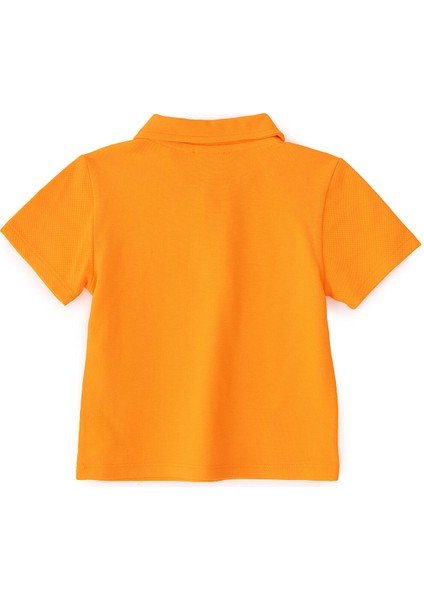 Erkek Bebek Tshirt Düğmeli Bisiklet Yaka Kısa Kol fiyatları