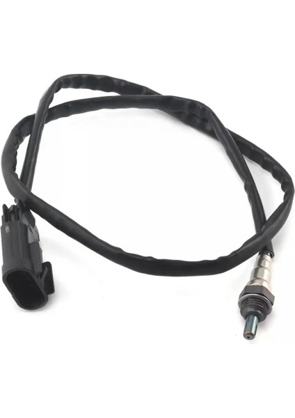 Benelli TNT300 BN302 STELS300 Stels 600 BN600 TNT600 TNT600GT BN600GT Keeway RKX300 Rk6 60 Için Motosiklet Oksijen Sensörü (Yurt Dışından) indirimleri
