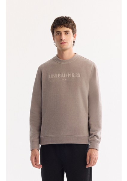 Erkek Gri Bisiklet Yaka Soft Touch Baskılı Polar Regular Fit Sweatshirt A52Y1269