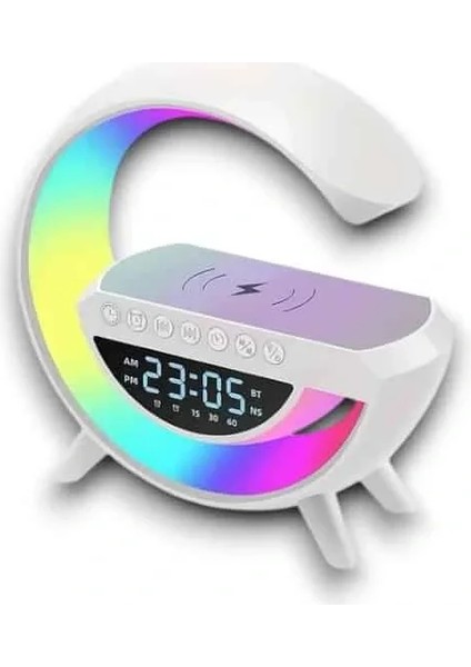 Google Dijital modelleri