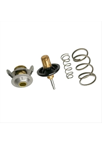 Land Rover Range Rover Sport Için Araba Termostat Kiti 06-09 Lr3 LR005765 4362513 (Yurt Dışından) indirimleri