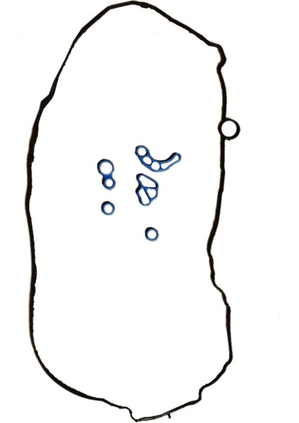 12635953 Valf Kapağı Conta Conta Seti Chevrolet Malibu Buick Envision Cadillac Ats Ct6 Gmc 2 0l 2 5l 12613249 (Yurt Dışından)