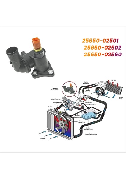 Termostat Muhafaza Soğutma Su Adaptörü 25650-02560 Kia Picanto Sa 04-10 Sabah Atoz Amica Friend 25650-02501 (Yurt Dışından) modelleri