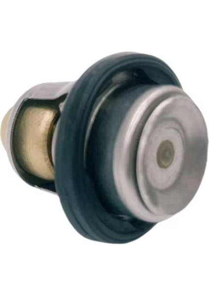 17670-94402 Termostat 60ºc Suzuki Deniz Dıştanezi Motorları 9 9-70HP 17670-94400 17670-94404 17670-94403 17670-94401 (Yurt Dışından) fırsatları