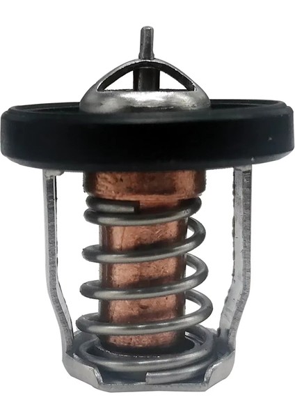 17670-94J01 Termostat 60 ℃ Suzuki Marine DF8A Için 9 9 15 20 25 30A Dıştan Takma Motorlar 17670-94J00 17670-94J02 Motor Parçaları (Yurt Dışından)