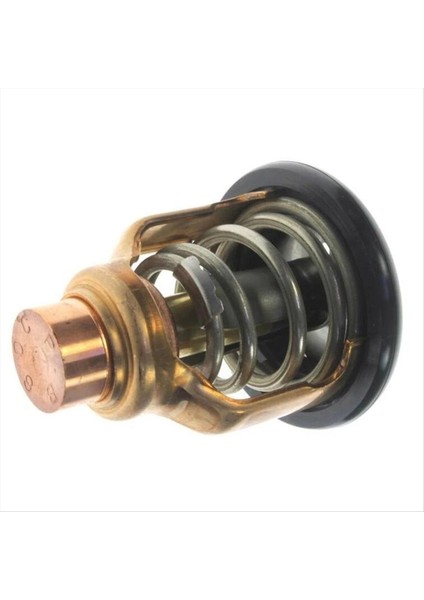 Yamaha Dıştan Takma 4 Strok F150 F175 F200 Dıştan Takma Motorlar Thermostat 6DA-12411-00 6DA-12411-01 18-3636 (Yurt Dışından) fiyatları