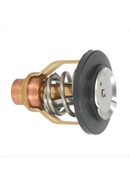 Yamaha Dıştan Takma 4 Strok F150 F175 F200 Dıştan Takma Motorlar Thermostat 6DA-12411-00 6DA-12411-01 18-3636 (Yurt Dışından) indirimleri