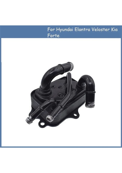 Hyundai Elantra Için Şanzıman Yağı Soğutucu Assy 1 6l 2 0l 2017-2018 25610-F2000 25620-F2000 25610F2000 25620 F2000 (Yurt Dışından) fırsatları