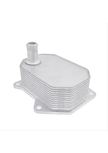 Ford Transit Platform Şasi Kutusu Otobüs Için Motor Yağı Soğutucu 2 4 2006-2014 6C1Q6B624BA 7C166B624BB 1704068 1372757 (Yurt Dışından)
