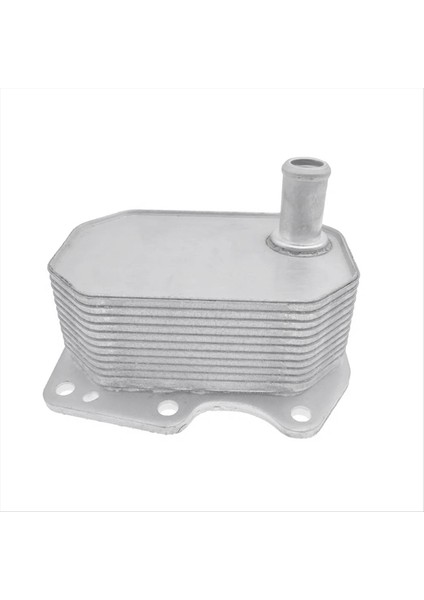 Ford Transit Platform Şasi Kutusu Otobüs Için Motor Yağı Soğutucu 2 4 2006-2014 6C1Q6B624BA 7C166B624BB 1704068 1372757 (Yurt Dışından) fiyatları