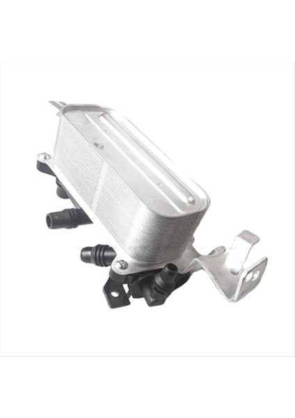 Bmw F01 F02 730LI N52 Oto Parçaları Için Yeni Yüksek Kaliteli Araç Şanzıman Yağı Radyatör Yağı Soğutucu 17217638579 (Yurt Dışından) modelleri