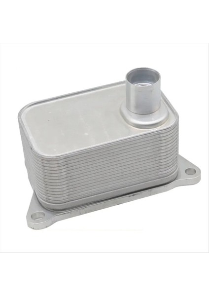 06J117021D Motor Volkswagen Için Alüminyum Yağ Soğutucu Vw Jetta Amarok Passat Golf 6 Audi 1 8 2 0 06J117021P 06J117021 (Yurt Dışından) modelleri