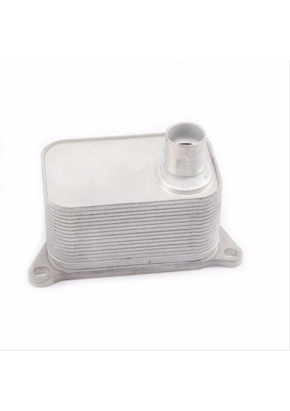 06J117021D Motor Volkswagen Için Alüminyum Yağ Soğutucu Vw Jetta Amarok Passat Golf 6 Audi 1 8 2 0 06J117021P 06J117021 (Yurt Dışından) fırsatları