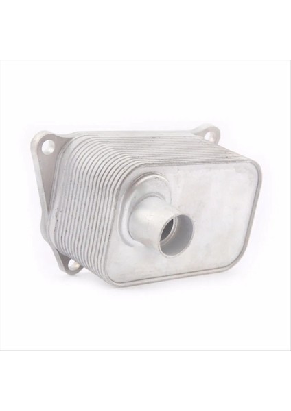 06J117021D Motor Volkswagen Için Alüminyum Yağ Soğutucu Vw Jetta Amarok Passat Golf 6 Audi 1 8 2 0 06J117021P 06J117021 (Yurt Dışından) indirimleri