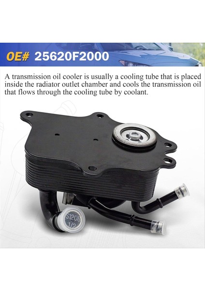 25620F2000 Yağ Soğutucu Şanzıman Yağ Soğutucu Yağ Radyatörü Hyundai Elantra Için 1 6l 2 0l 17-18 25620-F2000 (Yurt Dışından) fırsatları