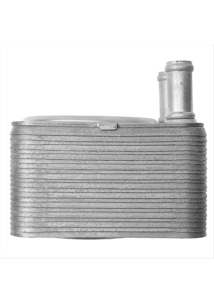 Otomatik Motor Yağı Soğutucu Yağ Radyatörü 038117021A 038117021B 038117021C/D/E Audi A3 Q7 Tt Vw Beetle Golf Jetta Passat (Yurt Dışından) fırsatları