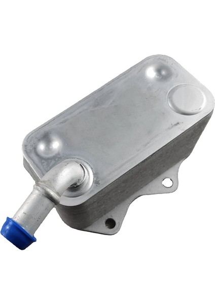 Yeni Motor Yağı Soğutucu Vw Eos Gtı Jetta Passat Audi A3 A4 Tt 2 0l 06D117021C (Yurt Dışından)