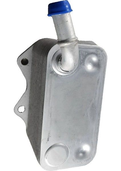 Yeni Motor Yağı Soğutucu Vw Eos Gtı Jetta Passat Audi A3 A4 Tt 2 0l 06D117021C (Yurt Dışından) modelleri