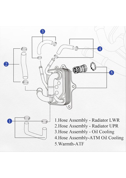 25620F2000 Yağ Soğutucu Şanzıman Yağ Soğutucu Yağ Radyatörü Hyundai Elantra Için 1 6l 2 0l 17-18 25620-F2000 (Yurt Dışından) indirimleri